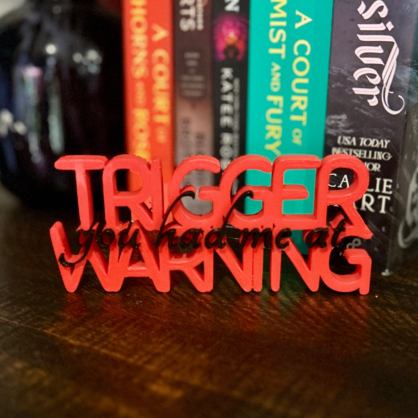 You had me at Trigger Warning - shelf decor